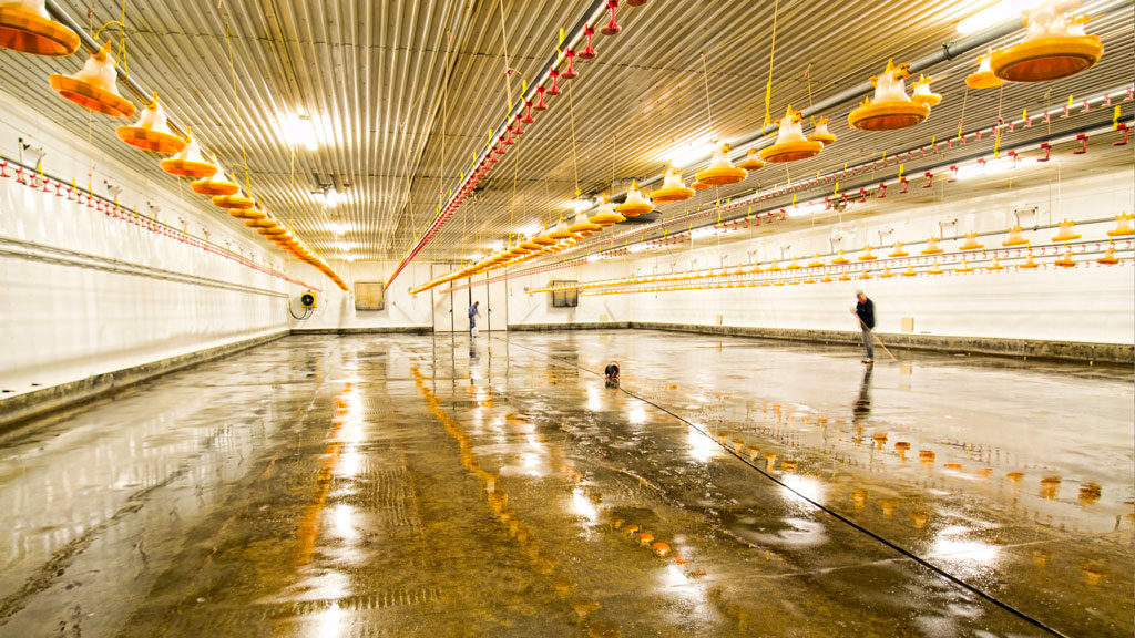 komsol landwirtschaft betonboden stallung stall schutz versiegeln reinigen Gülle Hühnerstall Salze