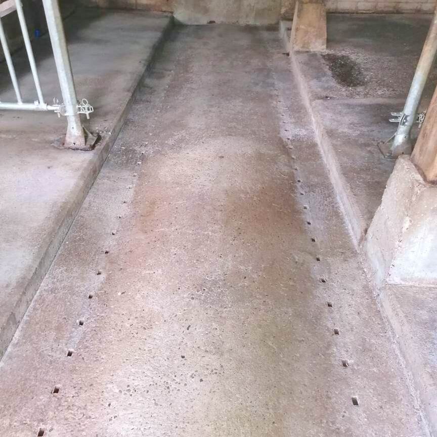 komsol landwirtschaft deepclean reinigen innerseal betonboden stallboden beton versiegeln schuetzen erneuern ph wert 11 13 ammoniak ablauf guelle