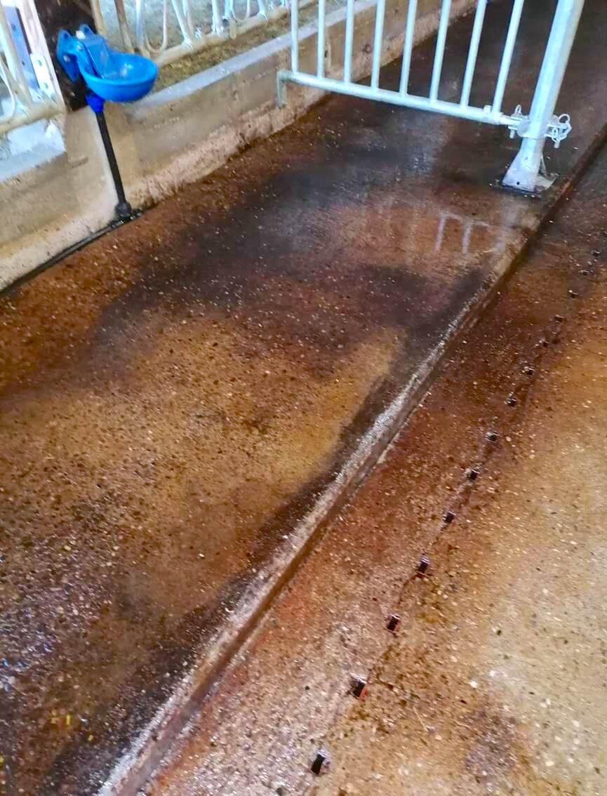 komsol landwirtschaft deepclean reinigen innerseal betonboden stallboden beton versiegeln schuetzen erneuern ph wert 11 13 ammoniak